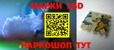 амф Новодвинск