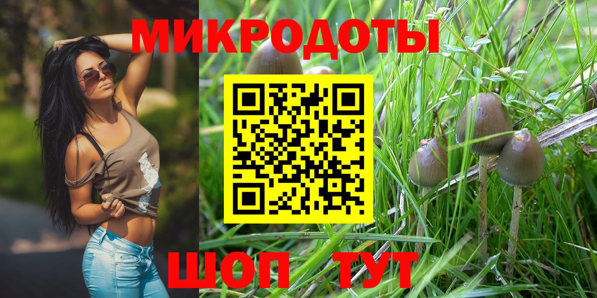 Галлюциногенные грибы мицелий  Вход с VPN  Тихорецк 